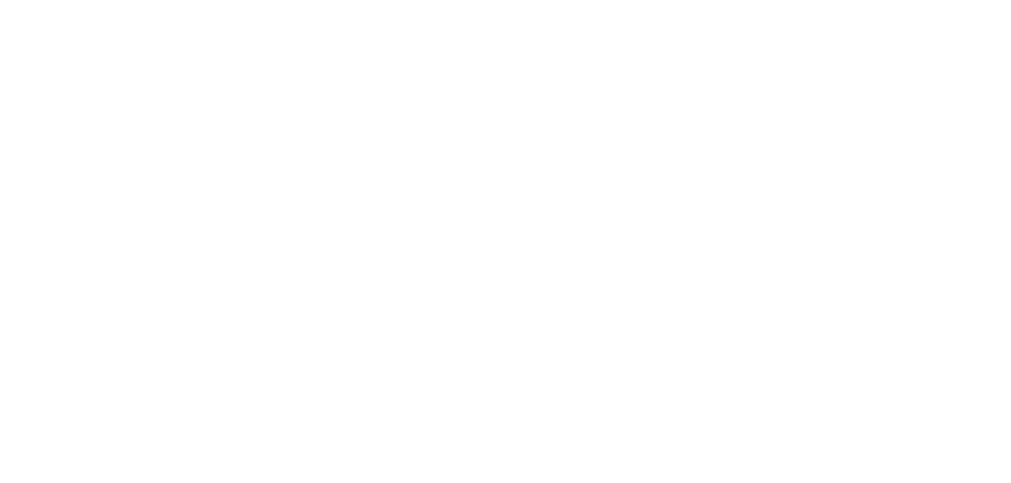 A BELLE CONCEPT